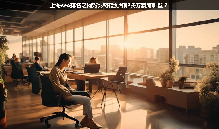 上海seo排名之網(wǎng)站死鏈檢測和解決方案有哪些？