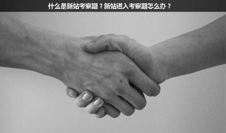 什么是新站考察期？新站進(jìn)入考察期怎么辦？