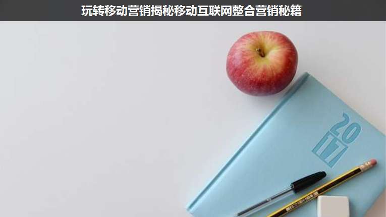 玩轉(zhuǎn)移動營銷揭秘移動互聯(lián)網(wǎng)整合營銷秘籍
