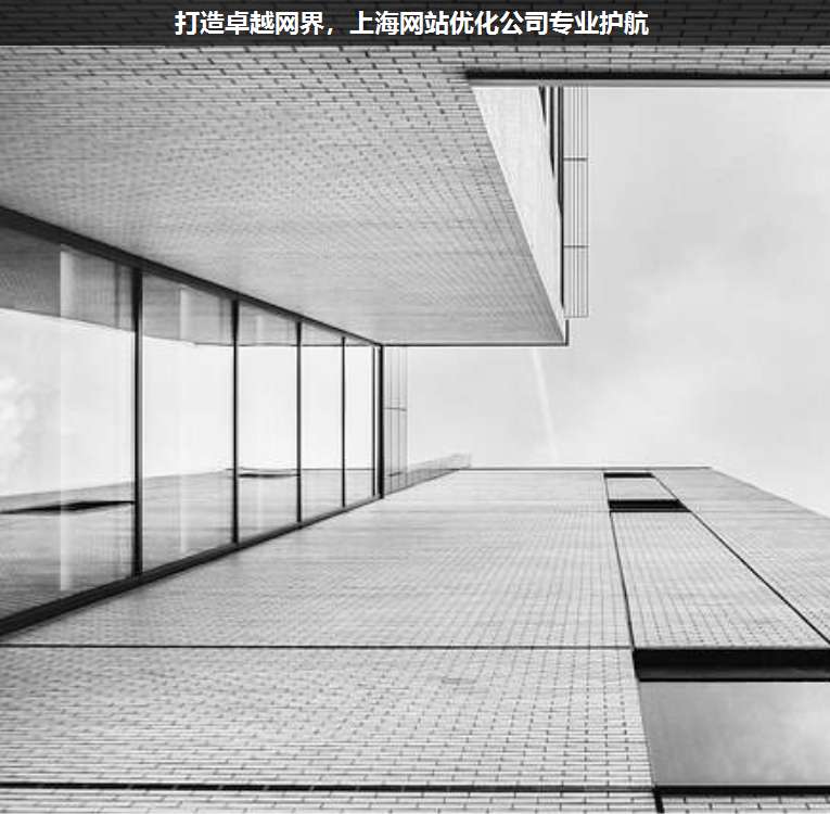 打造卓越網(wǎng)界,上海網(wǎng)站優(yōu)化公司專業(yè)護航