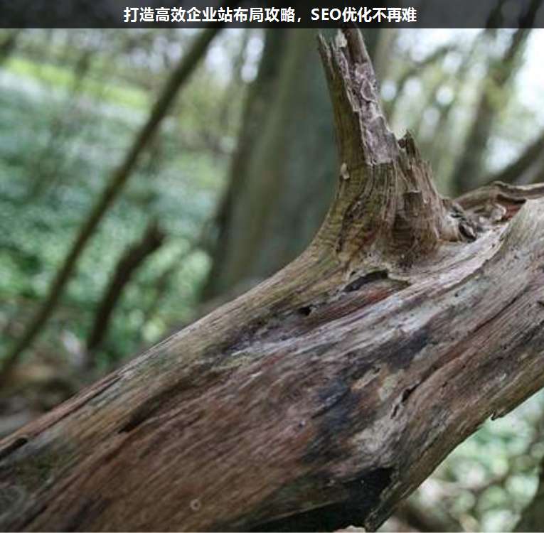 打造高效企業(yè)站布局攻略,SEO優(yōu)化不再難