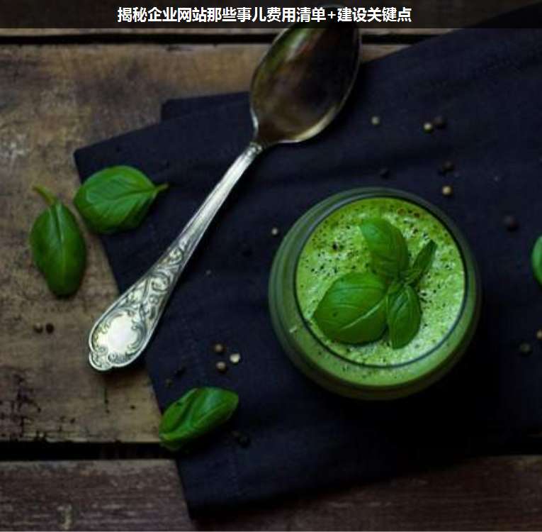 揭秘企業(yè)網(wǎng)站那些事兒費(fèi)用清單+建設(shè)關(guān)鍵點(diǎn)