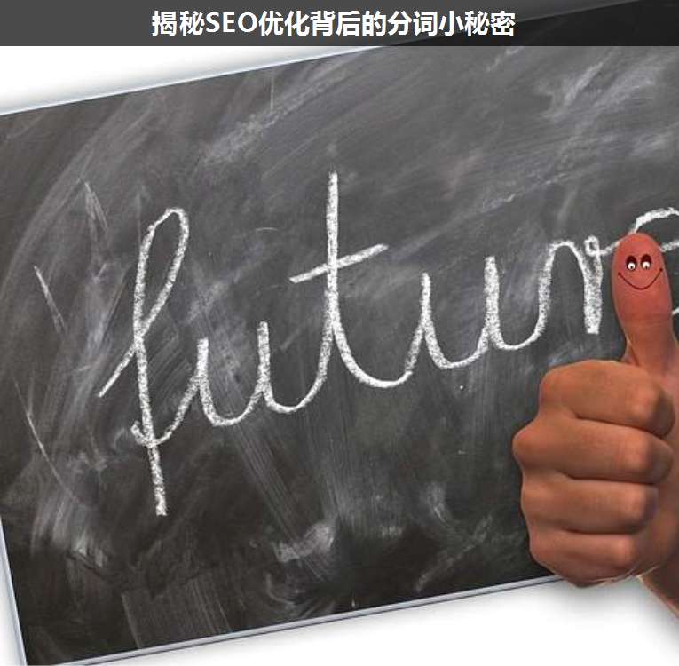 揭秘SEO優(yōu)化背后的分詞小秘密