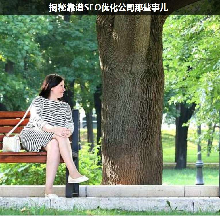 揭秘靠譜SEO優(yōu)化公司那些事兒