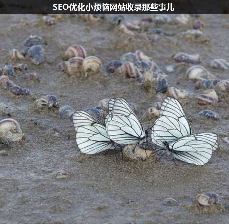SEO優(yōu)化小煩惱網(wǎng)站收錄那些事兒